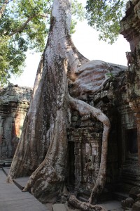 Ankor_wat-Tag_1-387